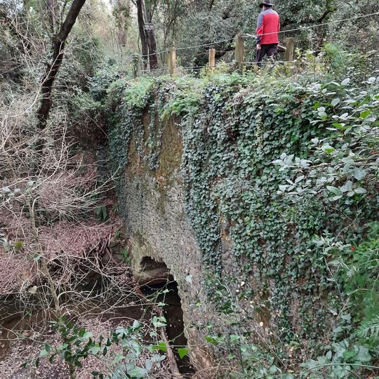 Pont de Can Carrasquet