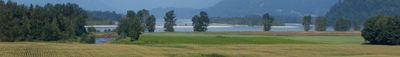 Panoramic View 0