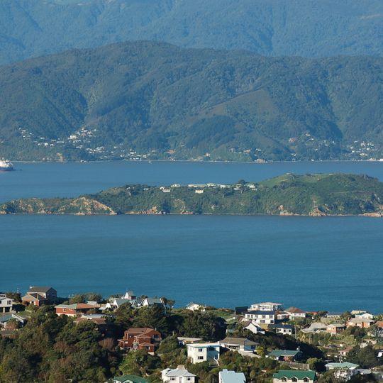 Matiu / Somes Island