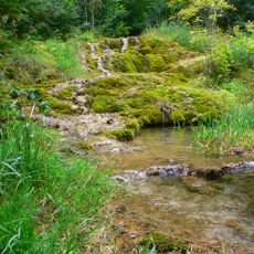 Birketsbach W von Weißenbrunn vorm Wald