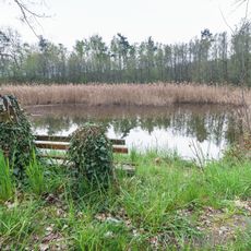 Pond Rothmann near Probsthain