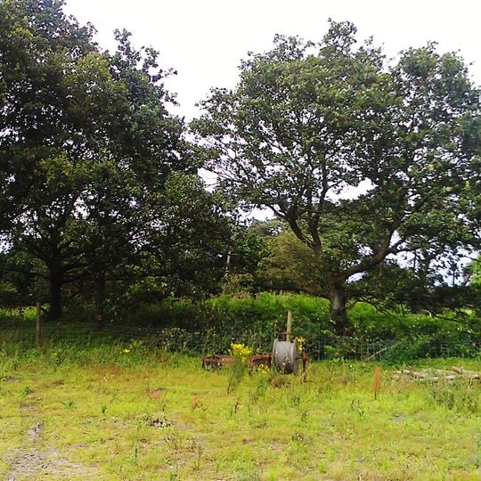 Snape Anglo-Saxon Cemetery