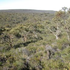 Lesueur National Park