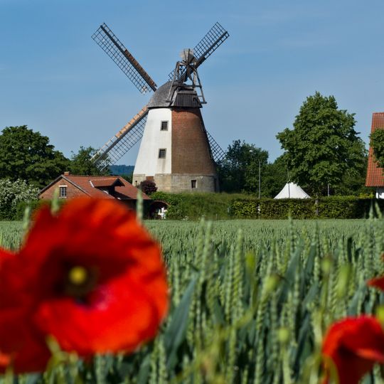 Windmill Meißen