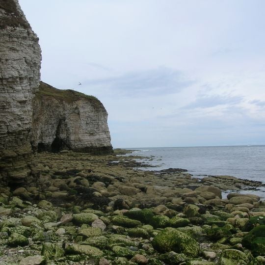Flamborough Head