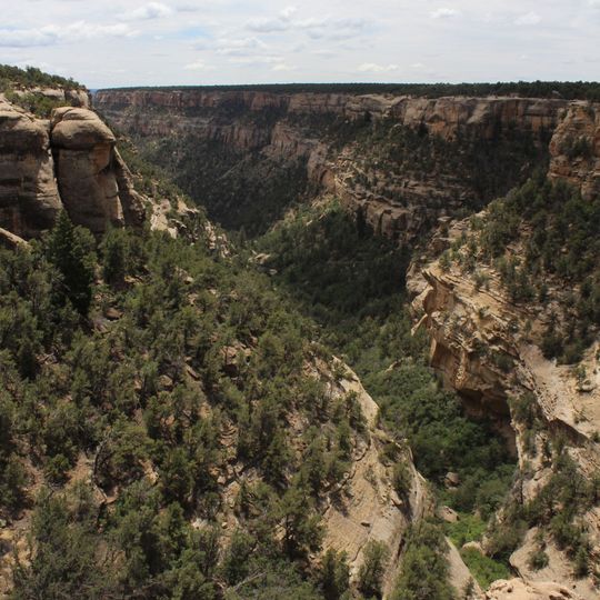 Canyon Cliff