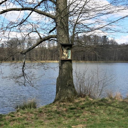 Obrázek Anděla Strážného na stromě u Zámeckého rybníku v Lipové