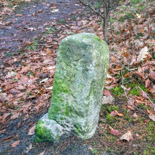 Grenzstein 3 bei Röthenbach bei Sankt Wolfgang