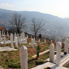 Ravne Bakije