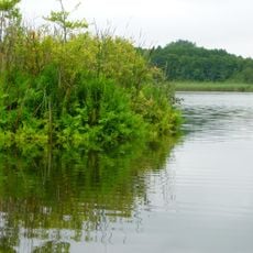 Kleiner Plessower See