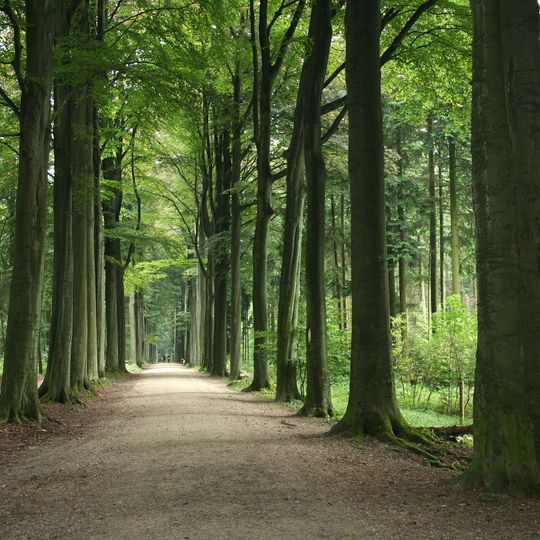 Arboretum de Tervuren