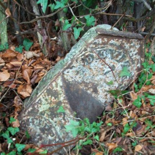 Milestone Opposite Number 31