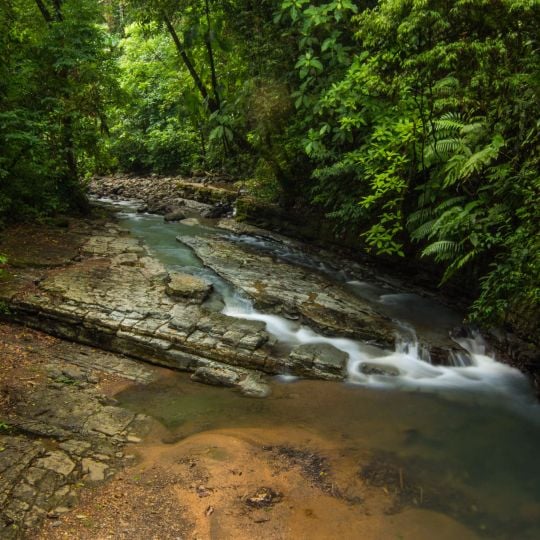 Parco nazionale di La Cangreja