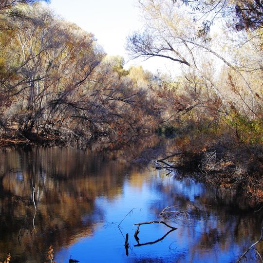 Hassayampa River Preserve