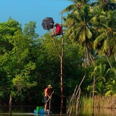 Lagoa do Jequiá Marine Extractive Reserve