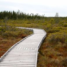 Orono Bog