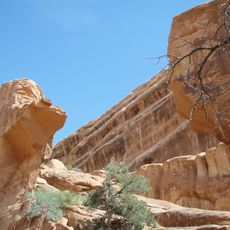 Wall Arch