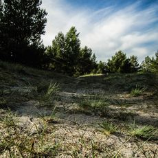 The Grey Dune of Pavilosta