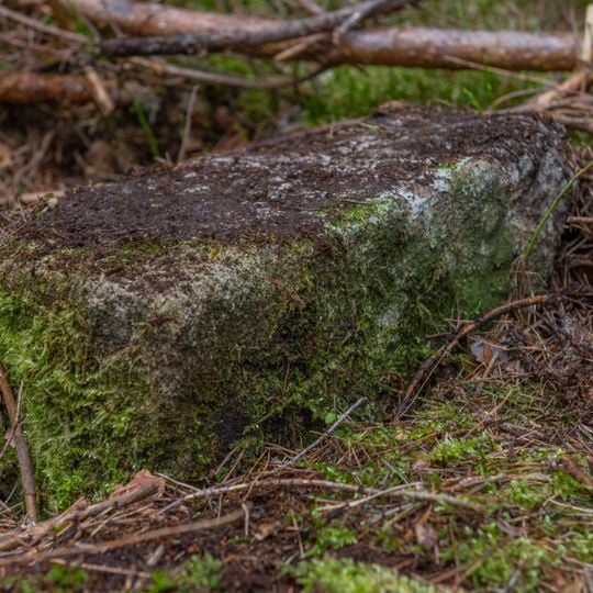 Grenzstein Obere Gemeinde, Fünfzigmorgen in Fürth