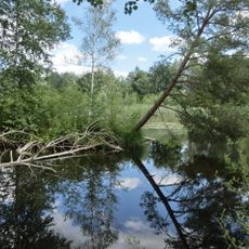 Pfrunger und Burgweiler Ried