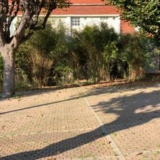 Square Maurice Daumain