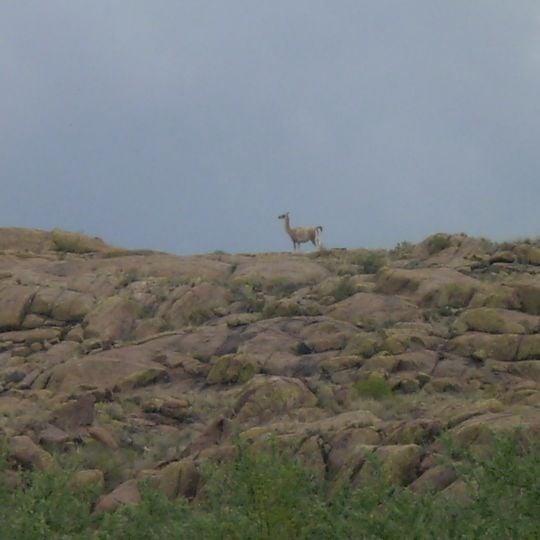 Parque Nacional Lihué Calel
