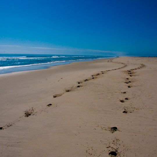 Assateague Island National Seashore