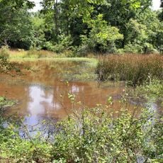 Neches River National Wildlife Refuge
