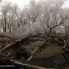 Isental und südliche Quellbäche