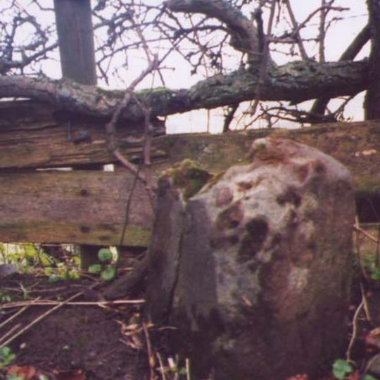 Milestone At Se 0156 6320