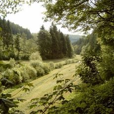 Oberlauf der Henne südöstlich Oberhenneborn