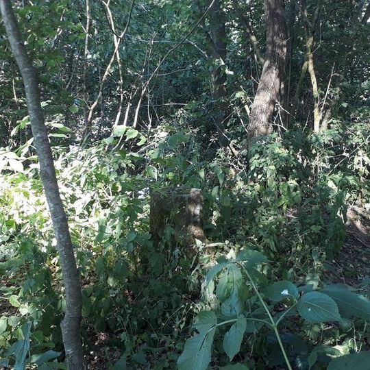 Kříž u rybníka Valchař u Chýnova