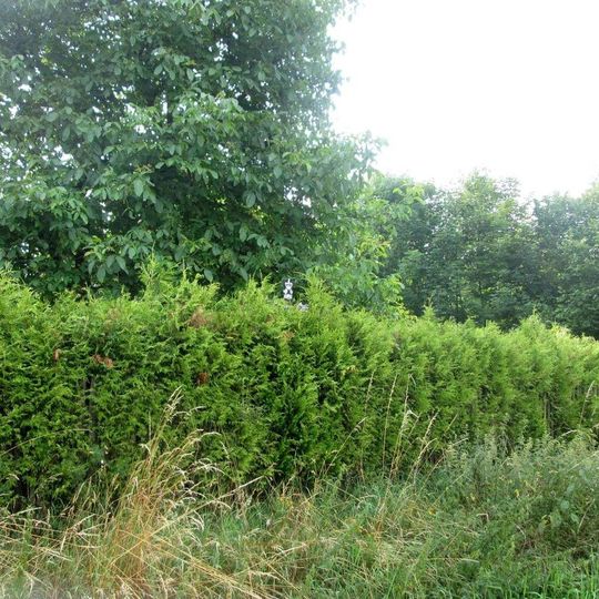 Kříž ve Stříteži v zahradě