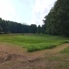 Szőcei tőzegmohás láprét