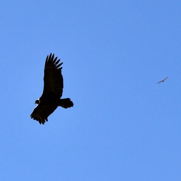 Mało znane miejsca przyrodnicze i zabytki Argentyny
