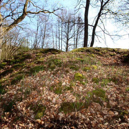 Motte Streithausen