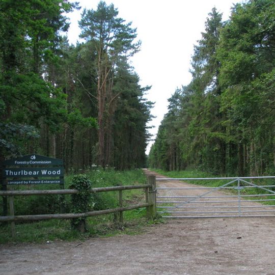 Thurlbear Wood and Quarrylands