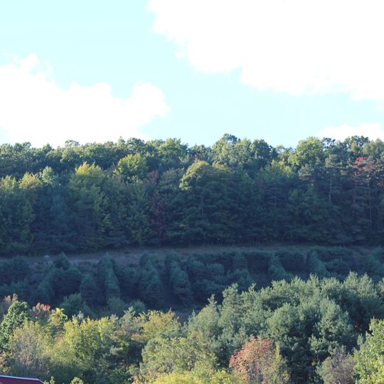 Canisteo Living Sign