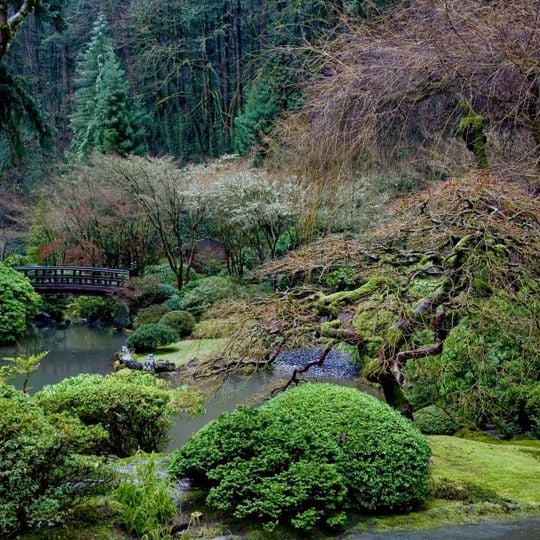 Jardín Japonés de Portland