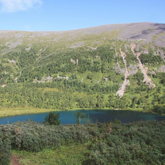 Ordžonikidzevskij rajon