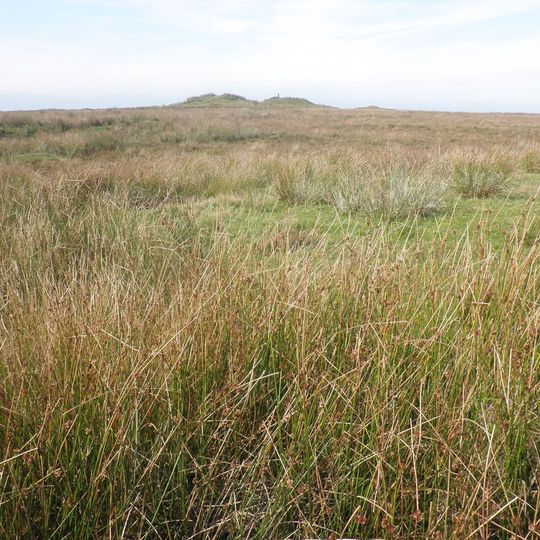 'Five Barrows', group of eight barrows