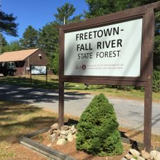 Freetown Fall River State Forest
