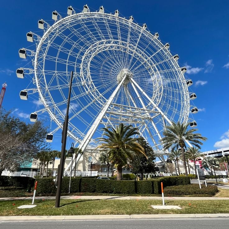 The Wheel