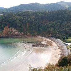 Playa de Ribón
