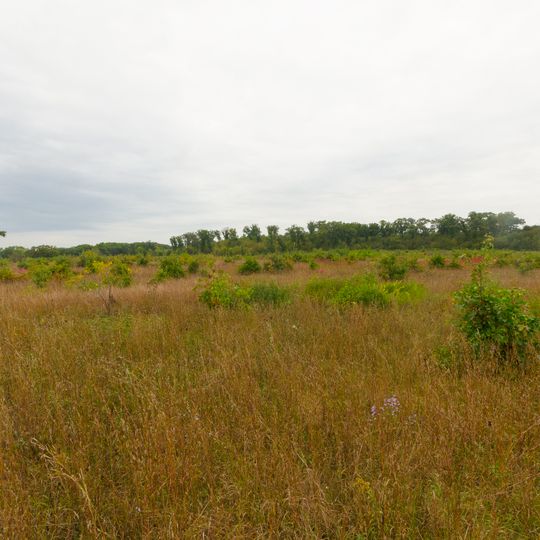 Albany Wildlife Area