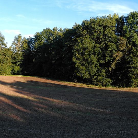 Bachverlauf des Walkersbachs im Gewann Bankert