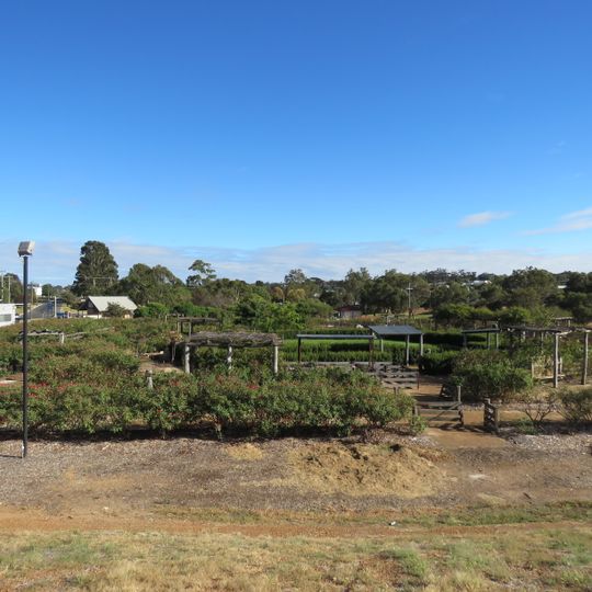 The Kodja Place Rose Maze