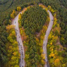 Foreste miste Caspico-ircaniche