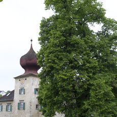 Linde beim Altersheim Gneisenau