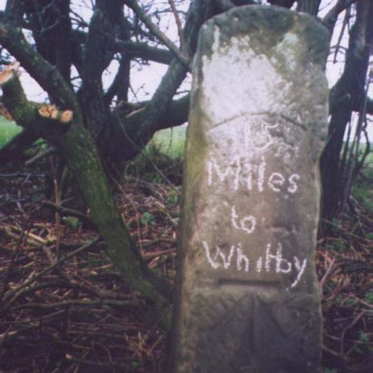 Milestone, ½ mile N of Lockton  at SE84999060